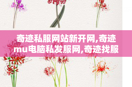 奇迹私服网站新开网,奇迹mu电脑私发服网,奇迹找服网,奇迹mu电脑私发服网