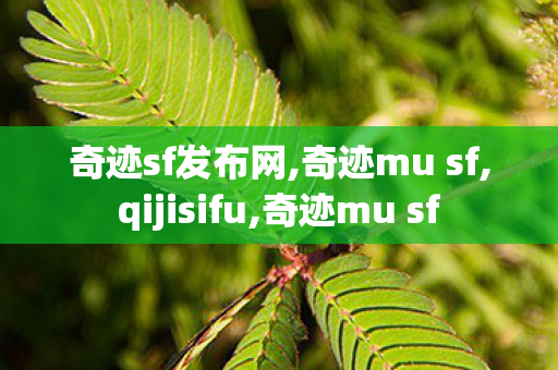 奇迹sf发布网,奇迹mu sf,qijisifu,奇迹mu sf