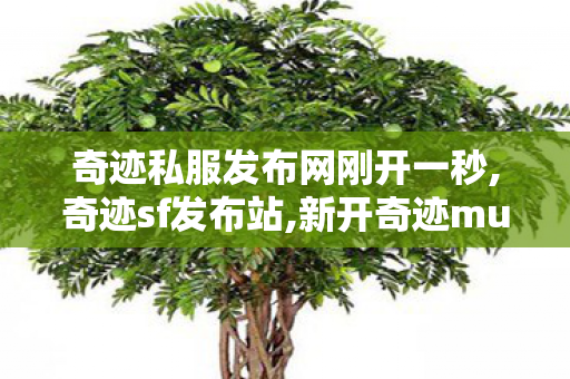 奇迹私服发布网刚开一秒,奇迹sf发布站,新开奇迹musf发布网,奇迹sf发布站