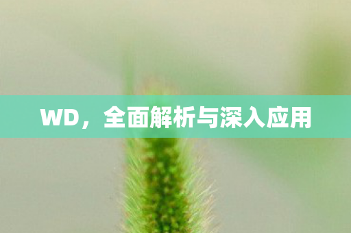 WD，全面解析与深入应用