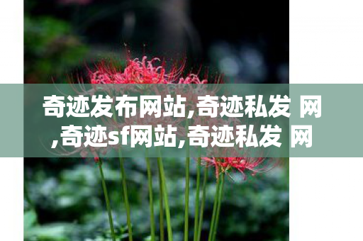 奇迹发布网站,奇迹私发 网,奇迹sf网站,奇迹私发 网