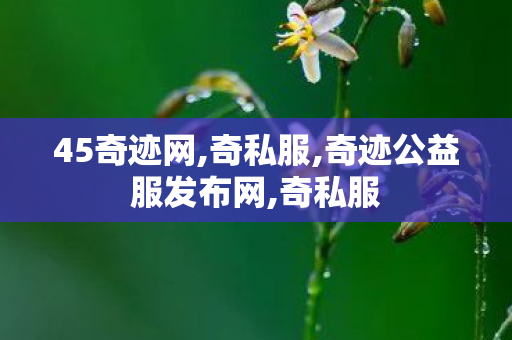 45奇迹网,奇私服,奇迹公益服发布网,奇私服