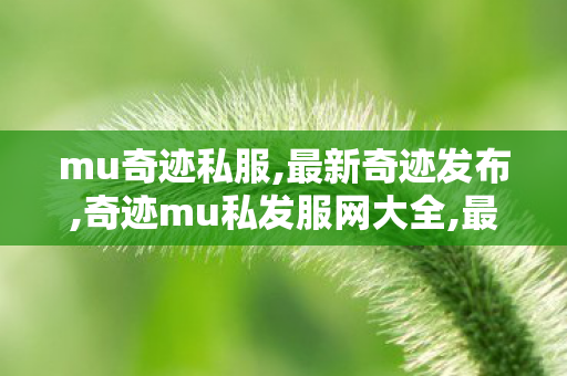 mu奇迹私服,最新奇迹发布,奇迹mu私发服网大全,最新奇迹发布
