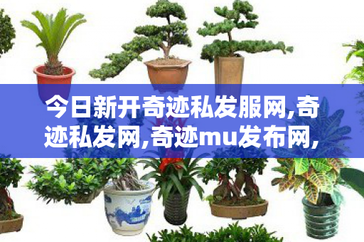 今日新开奇迹私发服网,奇迹私发网,奇迹mu发布网,奇迹私发网