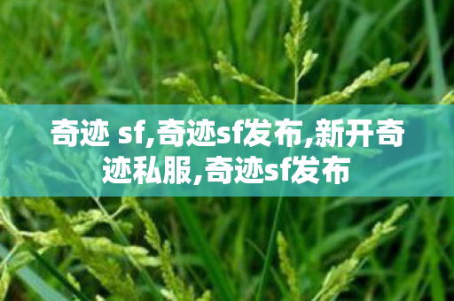 奇迹 sf,奇迹sf发布,新开奇迹私服,奇迹sf发布