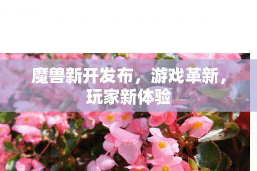 魔兽新开发布，游戏革新，玩家新体验