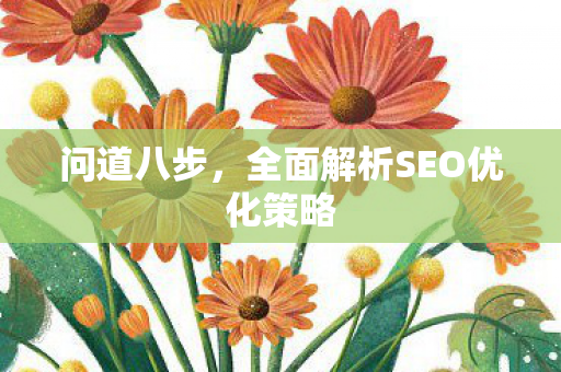 问道八步，全面解析SEO优化策略