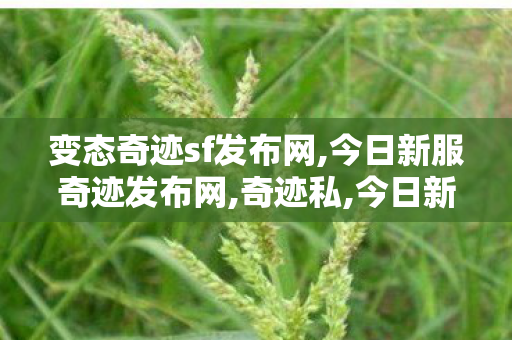 变态奇迹sf发布网,今日新服奇迹发布网,奇迹私,今日新服奇迹发布网