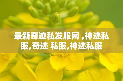 最新奇迹私发服网 ,神迹私服,奇迹 私服,神迹私服