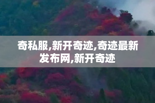 奇私服,新开奇迹,奇迹最新发布网,新开奇迹