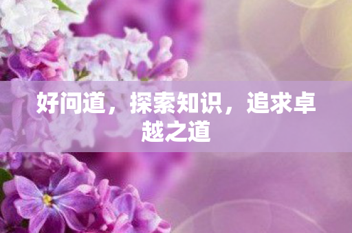 好问道，探索知识，追求卓越之道