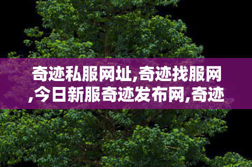 奇迹私服网址,奇迹找服网,今日新服奇迹发布网,奇迹找服网