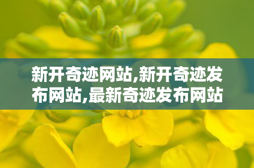 新开奇迹网站,新开奇迹发布网站,最新奇迹发布网站,新开奇迹发布网站