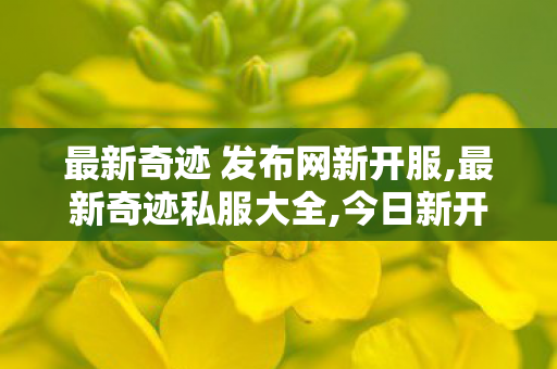 最新奇迹 发布网新开服,最新奇迹私服大全,今日新开奇迹私服,最新奇迹私服大全