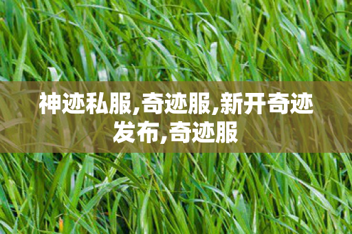 神迹私服,奇迹服,新开奇迹发布,奇迹服