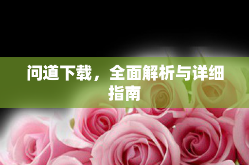 问道下载，全面解析与详细指南