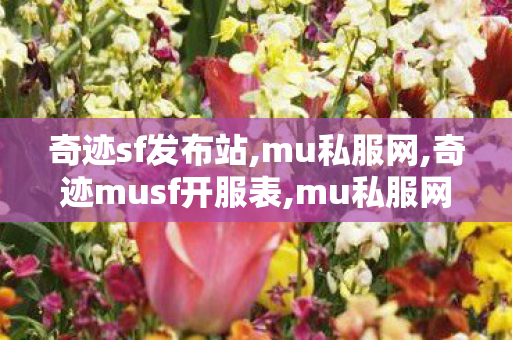 奇迹sf发布站,mu私服网,奇迹musf开服表,mu私服网