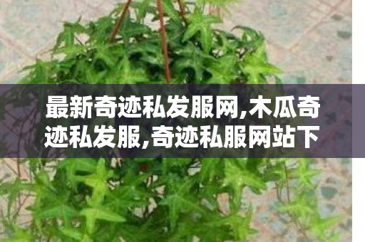 最新奇迹私发服网,木瓜奇迹私发服,奇迹私服网站下载,木瓜奇迹私发服