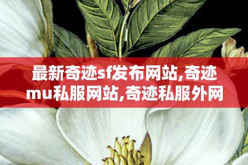 最新奇迹sf发布网站,奇迹mu私服网站,奇迹私服外网架设,奇迹mu私服网站