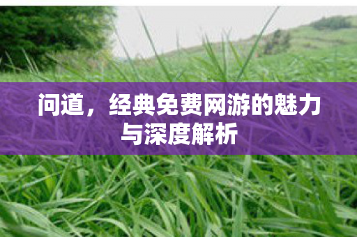 问道，经典免费网游的魅力与深度解析