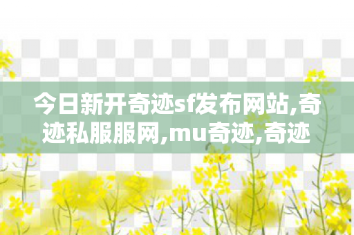 今日新开奇迹sf发布网站,奇迹私服服网,mu奇迹,奇迹私服服网