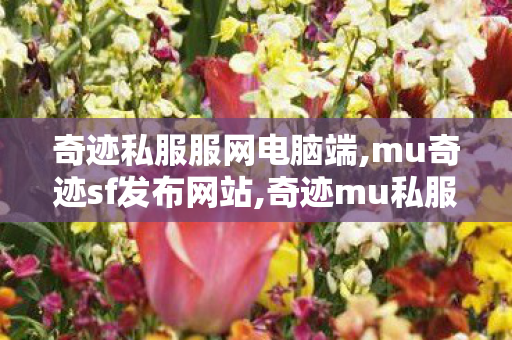 奇迹私服服网电脑端,mu奇迹sf发布网站,奇迹mu私服网站,mu奇迹sf发布网站