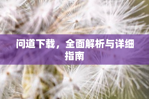 问道下载，全面解析与详细指南