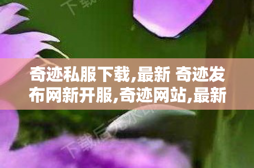 奇迹私服下载,最新 奇迹发布网新开服,奇迹网站,最新 奇迹发布网新开服