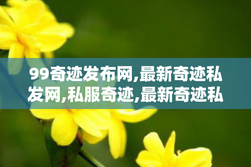 99奇迹发布网,最新奇迹私发网,私服奇迹,最新奇迹私发网