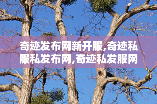 奇迹发布网新开服,奇迹私服私发布网,奇迹私发服网9999倍,奇迹私服私发布网