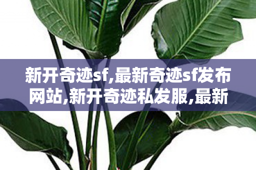 新开奇迹sf,最新奇迹sf发布网站,新开奇迹私发服,最新奇迹sf发布网站