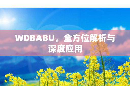 WDBABU，全方位解析与深度应用