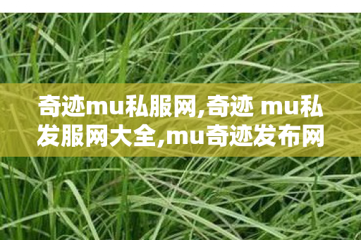 奇迹mu私服网,奇迹 mu私发服网大全,mu奇迹发布网新开服,奇迹 mu私发服网大全