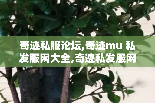 奇迹私服论坛,奇迹mu 私发服网大全,奇迹私发服网9999倍,奇迹mu 私发服网大全