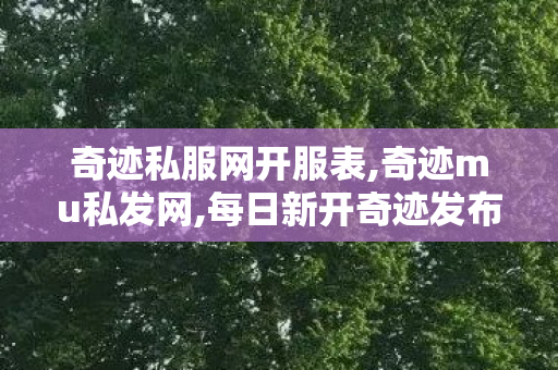 奇迹私服网开服表,奇迹mu私发网,每日新开奇迹发布网,奇迹mu私发网