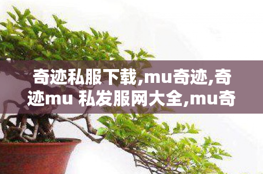奇迹私服下载,mu奇迹,奇迹mu 私发服网大全,mu奇迹