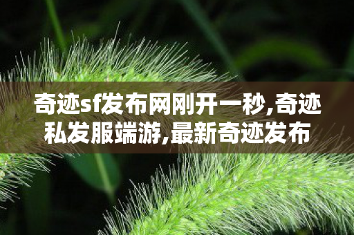 奇迹sf发布网刚开一秒,奇迹私发服端游,最新奇迹发布网新开服,奇迹私发服端游
