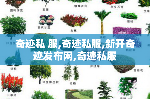 奇迹私 服,奇迹私服,新开奇迹发布网,奇迹私服