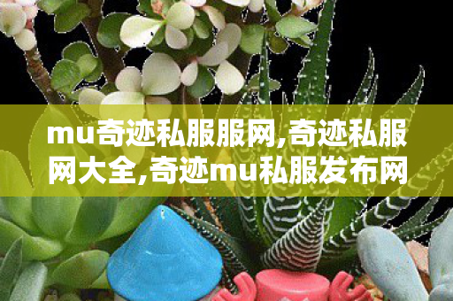 mu奇迹私服服网,奇迹私服网大全,奇迹mu私服发布网,奇迹私服网大全