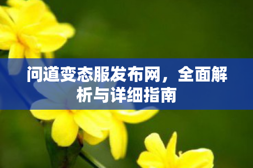 问道变态服发布网，全面解析与详细指南