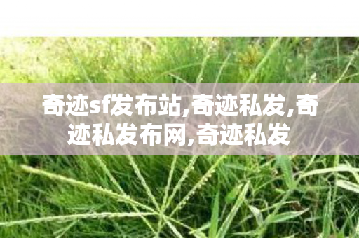奇迹sf发布站,奇迹私发,奇迹私发布网,奇迹私发