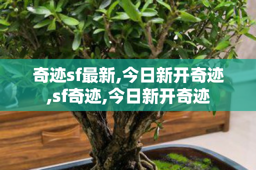 奇迹sf最新,今日新开奇迹,sf奇迹,今日新开奇迹