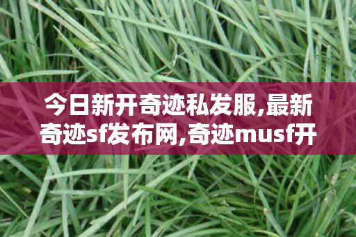 今日新开奇迹私发服,最新奇迹sf发布网,奇迹musf开服表,最新奇迹sf发布网