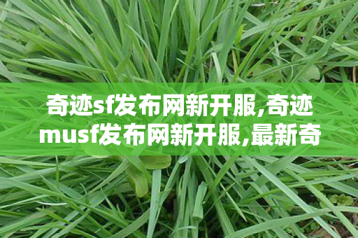 奇迹sf发布网新开服,奇迹musf发布网新开服,最新奇迹mu 私发服网,奇迹musf发布网新开服