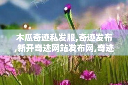 木瓜奇迹私发服,奇迹发布,新开奇迹网站发布网,奇迹发布