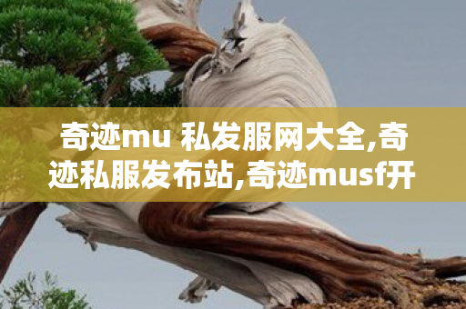 奇迹mu 私发服网大全,奇迹私服发布站,奇迹musf开服表,奇迹私服发布站