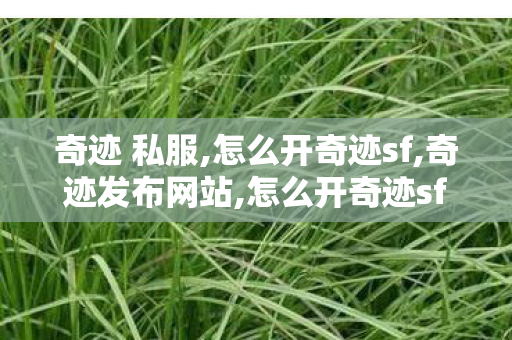 奇迹 私服,怎么开奇迹sf,奇迹发布网站,怎么开奇迹sf