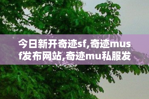 今日新开奇迹sf,奇迹musf发布网站,奇迹mu私服发布网,奇迹musf发布网站