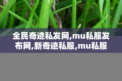 全民奇迹私发网,mu私服发布网,新奇迹私服,mu私服发布网