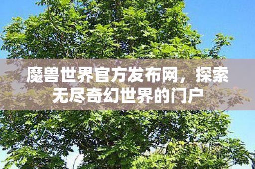 魔兽世界官方发布网，探索无尽奇幻世界的门户